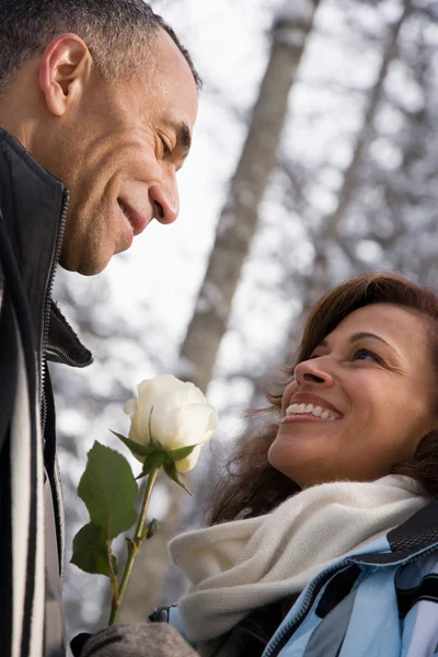 Retrato de la pareja adulta con rosa blanca — Foto de Stock