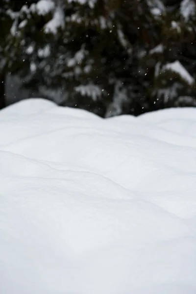 Close-up sneeuw in de firest — Stockfoto