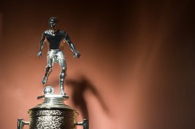 Altın kupa ödülü