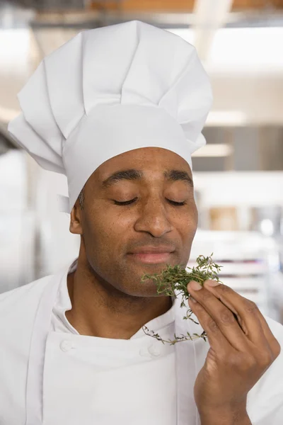Chef saboreando aroma de hierbas —  Fotos de Stock
