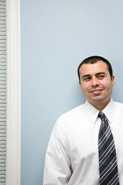 Portret van een mannelijke kantoor werknemer — Stockfoto