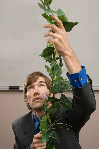 Man climbing a stem — Stock Photo, Image