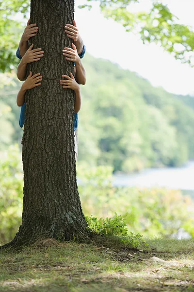 Trois personnes derrière l'arbre — Photo