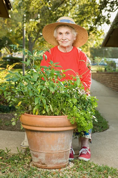 Bahçe kadın kıdemli — Stok fotoğraf