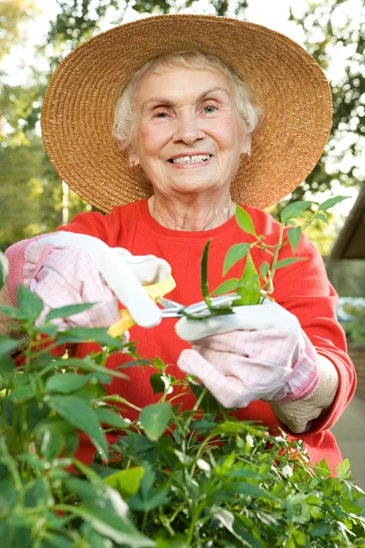 Senior donna matura giardinaggio — Foto Stock