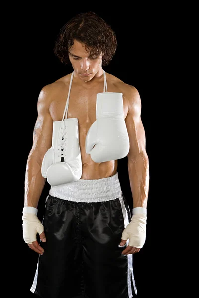 A curly young male boxer — Stock Photo, Image