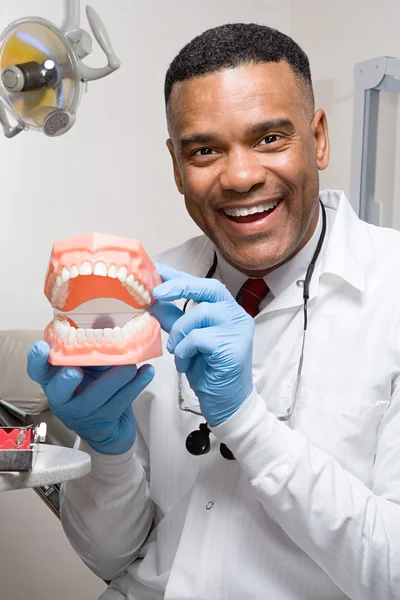 Dentist holding false teeth — Stock Photo, Image