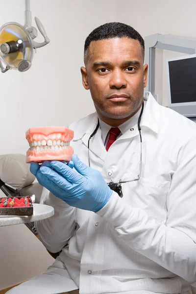 Dentist holding false teeth — Stock Photo, Image