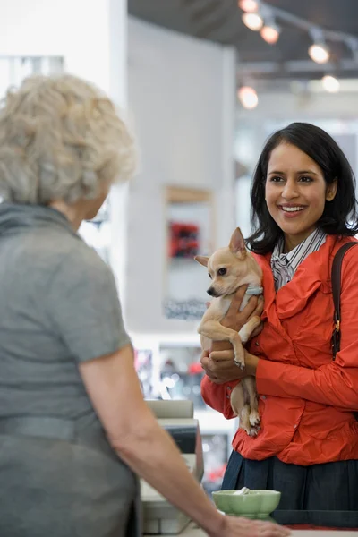 Donna con il suo chihuahua animale domestico — Foto Stock