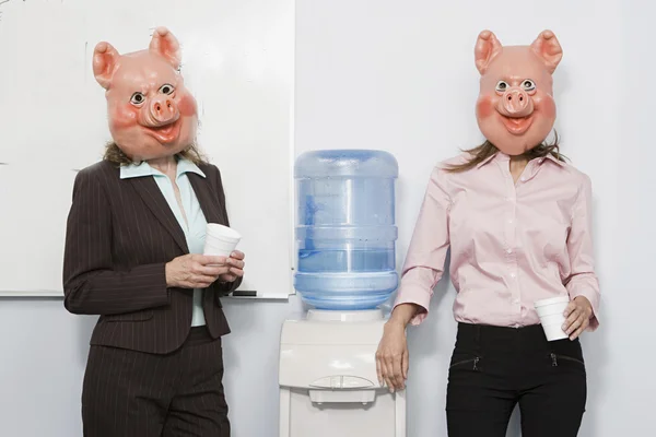 Dos empresarias con máscaras de cerdo en un refrigerador de agua — Foto de Stock