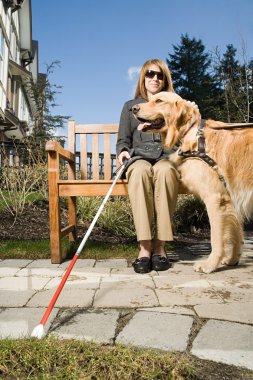 Kör bir rehber köpek kadınla