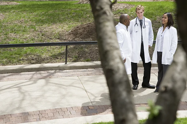 Doctors talking on a path — Stock Photo, Image