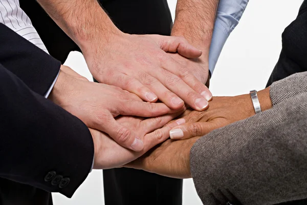 Nahaufnahme von Büroangestellten, die Einigkeit demonstrieren — Stockfoto