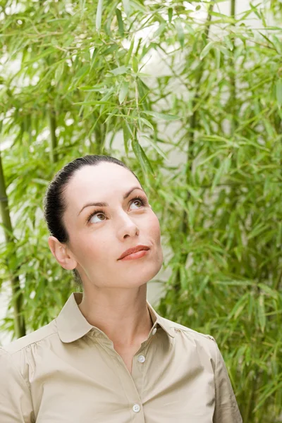 Portrait of a female office worker — Stock Photo, Image