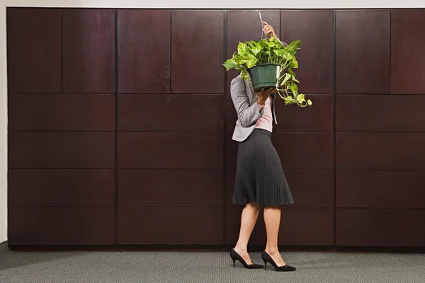 Mulher de negócios transportando planta — Fotografia de Stock