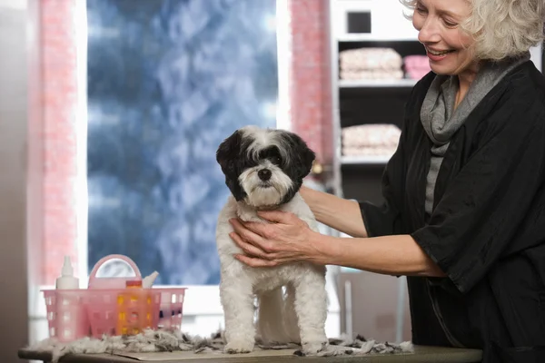 Mulher e cão no salão de pet grooming — Fotografia de Stock