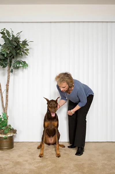 Vrouw met huisdier Dobermann — Stockfoto