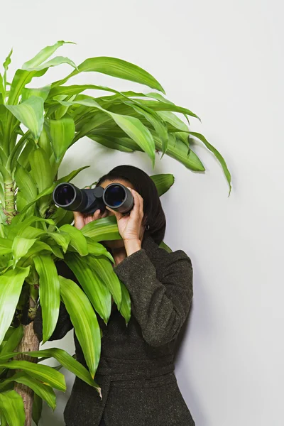 Деловая женщина прячется за растением с биноклем — стоковое фото