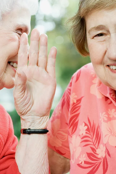 Due donne anziane che condividono un segreto — Foto Stock