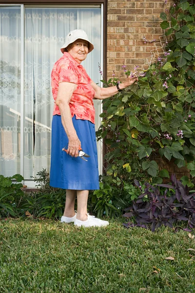 Senior woman gardening — Stock Photo, Image