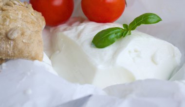 İtalyan peynir - Basel stracchino bırakır. Portre