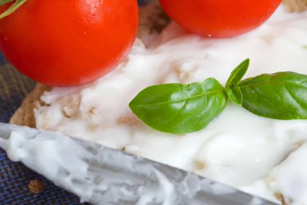 Un pedazo de pan con queso stracchino. Primer plano. — Foto de Stock