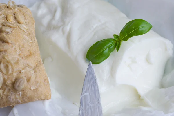 El queso italiano - stracchino con las hojas de Basilea. Primer plano. — Foto de Stock