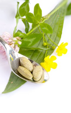 Beyaz bir arka plan üzerinde bitkisel hapları. Portre