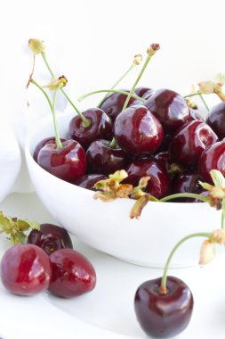 Siyah tatlı kiraz. Portre