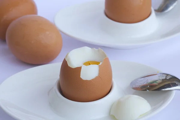 Gepelde ei op een wit ei-houder. — Stockfoto