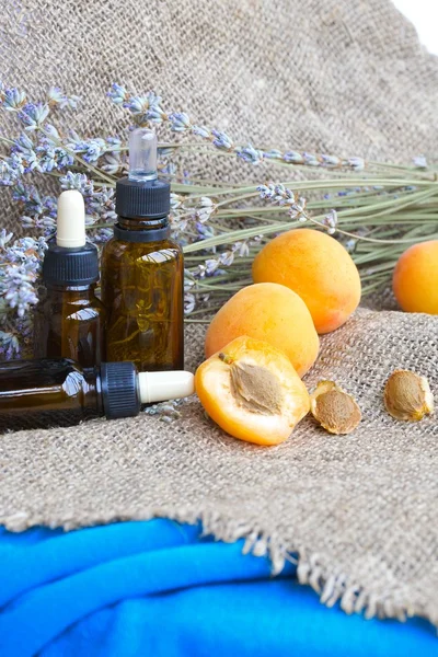 Apricot seeds oil. Close up — Stock Photo, Image