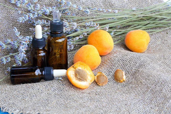 Apricot seeds oil. Close up — Stock Photo, Image