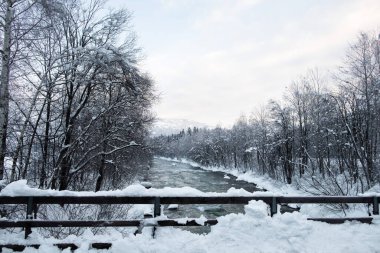 Lienzer Dolomitlerine yakın East Tyrol 'daki Drava Nehri' nin kış manzarası.