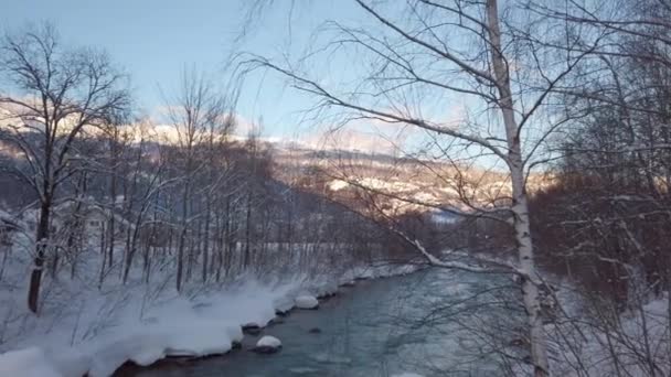 Doğu Tyrol Daki Drava Nehri — Stok video