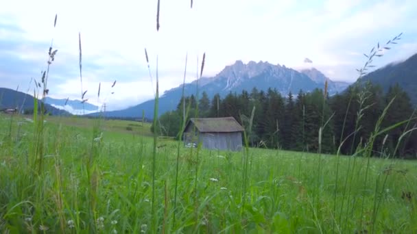 夏季山景中的旧木屋 — 图库视频影像