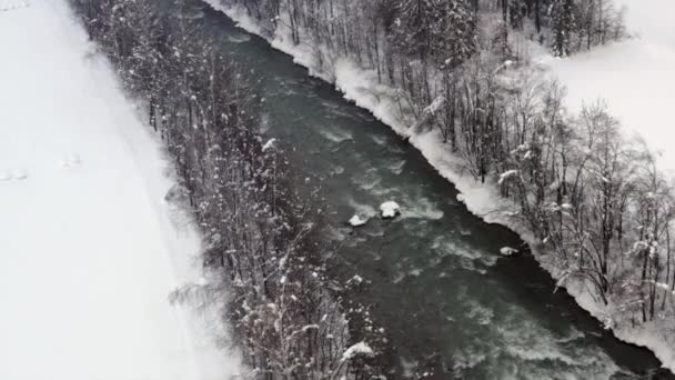 Vista Volo Uccello Sul Fiume Drava Nel Tirolo Orientale — Video Stock