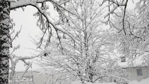 Lienzer Dolomitlerine Yakın Doğu Tyrol Daki Dağlarda Kış Manzarası — Stok video