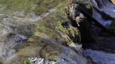 Toblacher See, Güney Tyrol 'da sonbaharda. Yavaş Hareket 