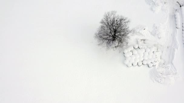 Bouleau Meules Foin Recouverts Neige Prise Vue Aérienne — Video