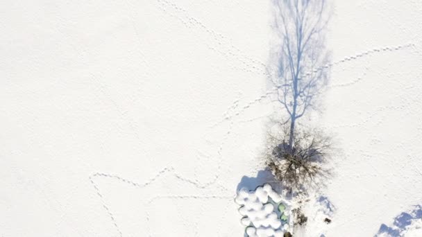 Birke Und Heuhaufen Einem Verschneiten Feld Vogelperspektive — Stockvideo