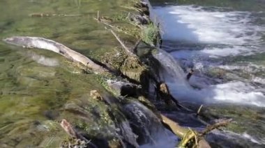 Toblacher See, Güney Tyrol 'da sonbaharda. Yavaş Hareket 