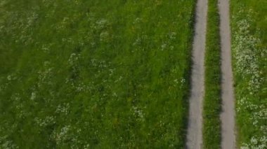  8 yaşındaki çocuk Olimpiyat bayrağıyla sahada yürüyor. Kuş bakışı. 