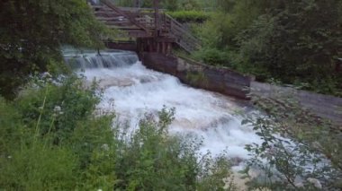 Ormanda güzel bir şelale