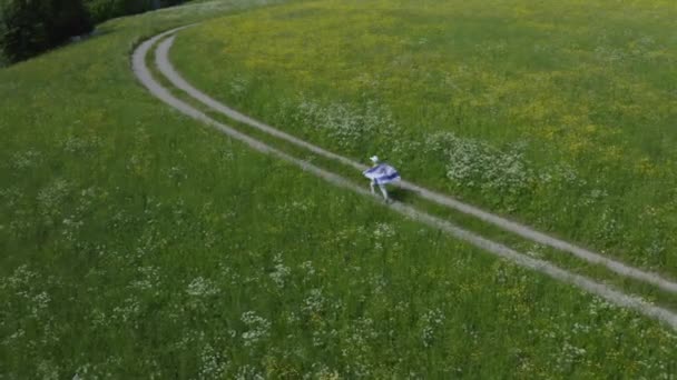 8歳の少年はイスラエルの旗を持って畑を歩いている 鳥目図 — ストック動画