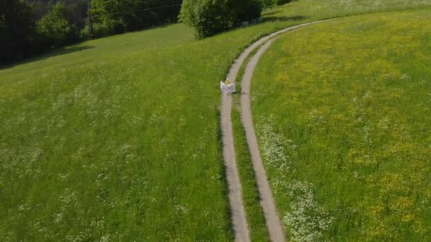 8歳の少年はオリンピックの旗を持って畑を歩いている 鳥目図 — ストック動画