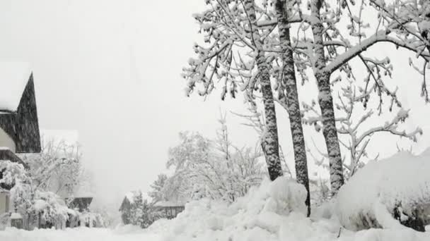 Lienzer Dolomites近くの東チロルの山の冬の景色 — ストック動画