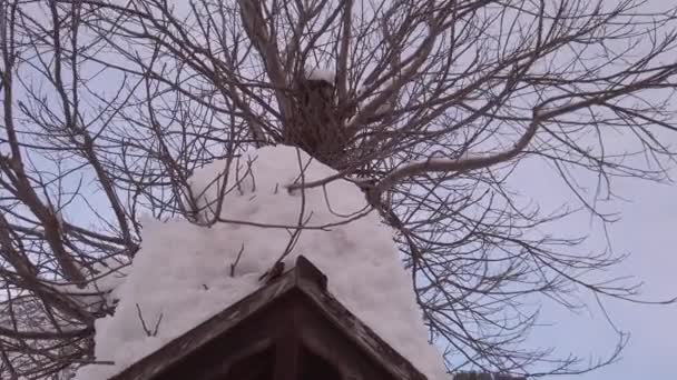 Pequeña Capilla Con Estatua Jesús Invierno Tirol Oriental Cerca Lienzer — Vídeo de stock