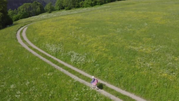 8歳の少年はアメリカ国旗を持って畑を歩いている 鳥目図 — ストック動画