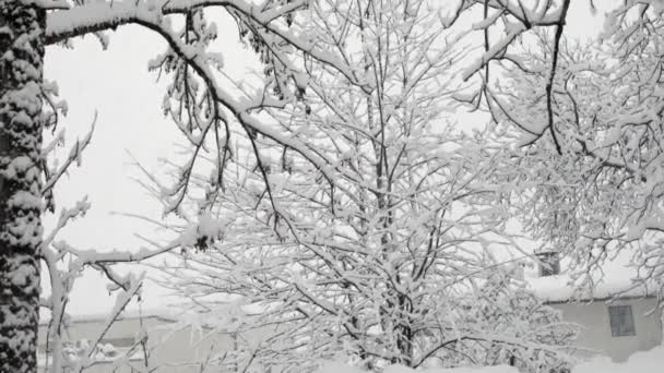 Vinterutsikt Över Bergen Östra Tyrolen Nära Lienzer Dolomiterna — Stockvideo