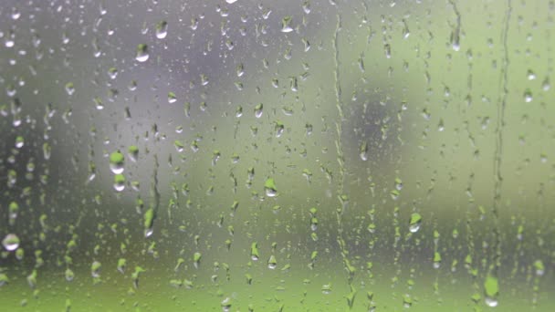 Eső Cseppek Üvegablaknál Közelkép — Stock videók